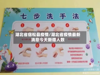 湖北省宿松县疫情/湖北省疫情最新消息今天新增人数