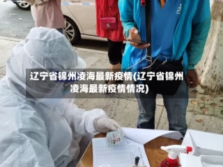 辽宁省锦州凌海最新疫情(辽宁省锦州凌海最新疫情情况)