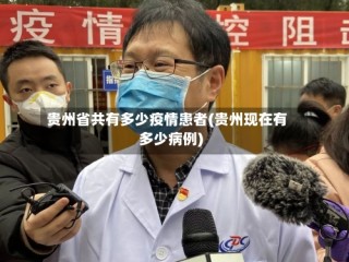 贵州省共有多少疫情患者(贵州现在有多少病例)