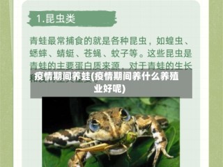 疫情期间养蛙(疫情期间养什么养殖业好呢)