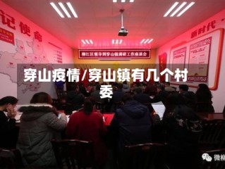 穿山疫情/穿山镇有几个村委