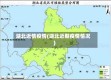 湖北近情疫情(湖北近期疫情情况)