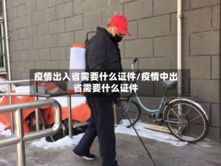 疫情出入省需要什么证件/疫情中出省需要什么证件