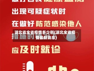 湖北省全省疫情多少例(湖北全省疫情最新消息)