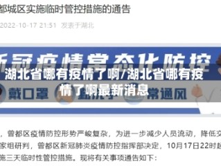 湖北省哪有疫情了啊/湖北省哪有疫情了啊最新消息