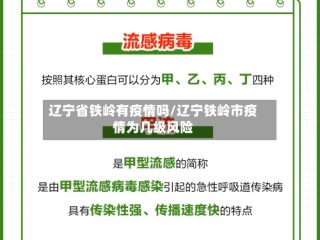 辽宁省铁岭有疫情吗/辽宁铁岭市疫情为几级风险