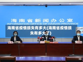 海南省疫情损失有多大(海南省疫情损失有多大了)