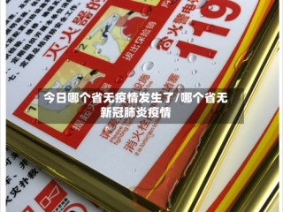今日哪个省无疫情发生了/哪个省无新冠肺炎疫情