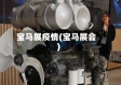 宝马展疫情(宝马展会)