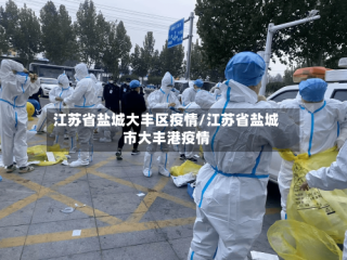 江苏省盐城大丰区疫情/江苏省盐城市大丰港疫情