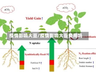 疫情影响大豆/疫情影响大豆费用吗