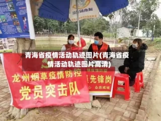 青海省疫情活动轨迹图片(青海省疫情活动轨迹图片高清)