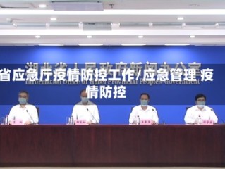 省应急厅疫情防控工作/应急管理 疫情防控