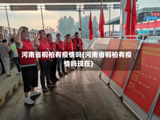 河南省桐柏有疫情吗(河南省桐柏有疫情吗现在)
