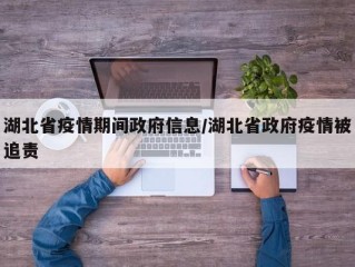 湖北省疫情期间政府信息/湖北省政府疫情被追责