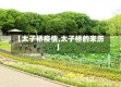 【太子桥疫情,太子桥的来历】