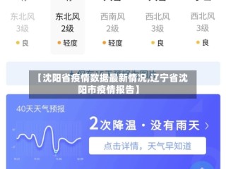 【沈阳省疫情数据最新情况,辽宁省沈阳市疫情报告】