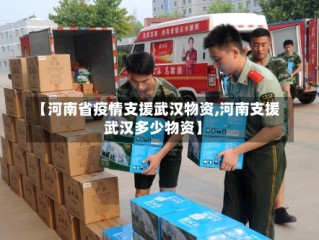 【河南省疫情支援武汉物资,河南支援武汉多少物资】