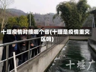 十堰疫情对接哪个省(十堰是疫情重灾区吗)
