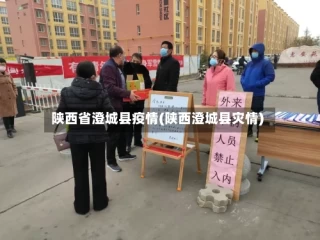 陕西省澄城县疫情(陕西澄城县灾情)