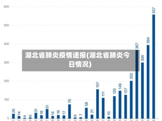 湖北省肺炎疫情速报(湖北省肺炎今日情况)