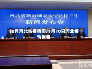 10月河北省疫情图/1月10日河北疫情报告