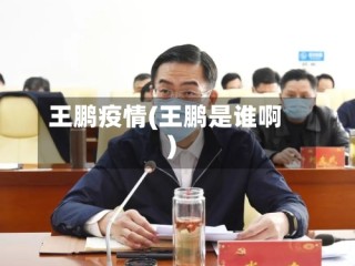 王鹏疫情(王鹏是谁啊)