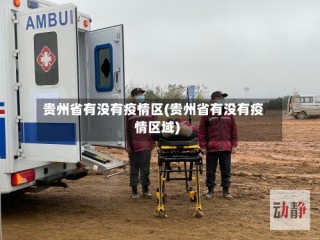 贵州省有没有疫情区(贵州省有没有疫情区域)