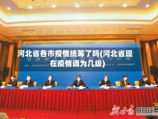 河北省各市疫情统筹了吗(河北省现在疫情调为几级)