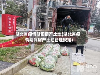 湖北省疫情期间房产土地(湖北省疫情期间房产土地管理规定)