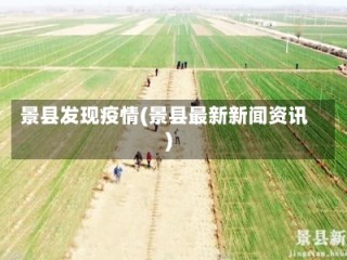 景县发现疫情(景县最新新闻资讯)