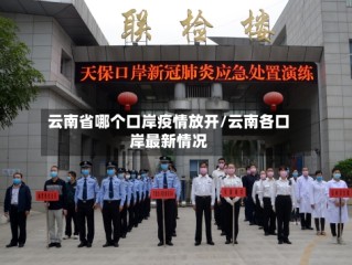 云南省哪个口岸疫情放开/云南各口岸最新情况