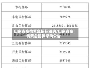 山东省疫情紧急招标采购/山东省疫情紧急招标采购公告