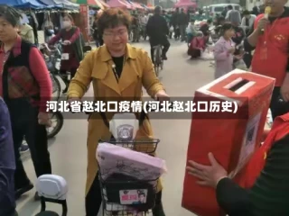 河北省赵北口疫情(河北赵北口历史)