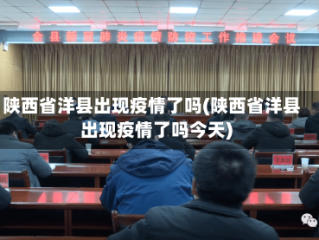 陕西省洋县出现疫情了吗(陕西省洋县出现疫情了吗今天)