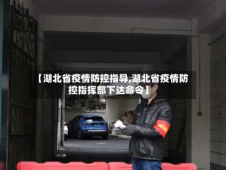 【湖北省疫情防控指导,湖北省疫情防控指挥部下达命令】