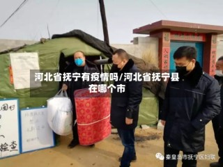 河北省抚宁有疫情吗/河北省抚宁县在哪个市