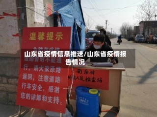 山东省疫情信息推送/山东省疫情报告情况