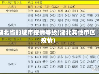 湖北省的城市疫情等级(湖北其他市区疫情)