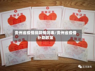 贵州省疫情捐款情况表/贵州省疫情补助政策