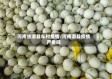 河南省滑县车村疫情/河南滑县疫情严重吗
