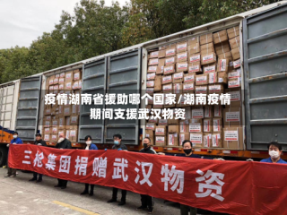 疫情湖南省援助哪个国家/湖南疫情期间支援武汉物资