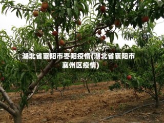 湖北省襄阳市枣阳疫情(湖北省襄阳市襄州区疫情)
