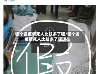 哪个省疫情死人比较多了呢/哪个省疫情死人比较多了呢现在