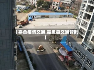 【嘉鱼疫情交通,嘉鱼县交通管制】