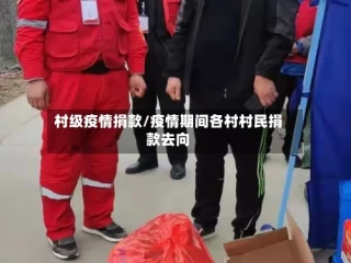 村级疫情捐款/疫情期间各村村民捐款去向