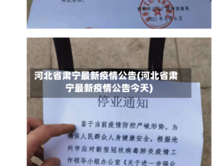河北省肃宁最新疫情公告(河北省肃宁最新疫情公告今天)