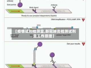 【疫情试剂检测盒,新冠肺炎检测试剂盒工作原理】
