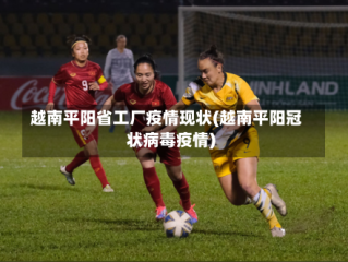 越南平阳省工厂疫情现状(越南平阳冠状病毒疫情)