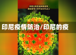 印尼疫情防治/印尼的疫